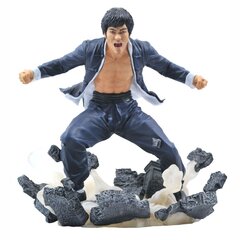 Diamond Select Bruce Lee Gallery Earth PVC цена и информация | Атрибутика для игроков | hansapost.ee