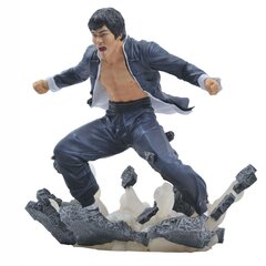 Diamond Select Bruce Lee Gallery Earth PVC hind ja info | Fännitooted mänguritele | hansapost.ee