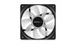 Deepcool DP-FLED-RF120-WH hind ja info | Arvuti ventilaatorid | hansapost.ee