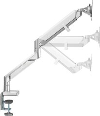 Logilink BP0086 Desk Mount, 17-32 , Max price and information | Monitor mounts | hansapost.ee