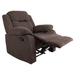 Кресло Dixon, коричневое цена и информация | Кресла для отдыха | hansapost.ee
