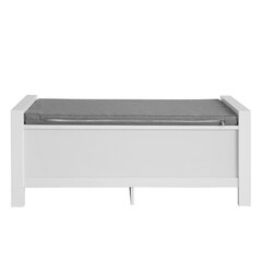 Jalanõudekapp SoBuy FSR74-W, valge/hall price and information | Shoe cupboards, shoe racks | hansapost.ee