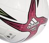 Pall Adidas Ekstraklasa Trn White цена и информация | Jalgpalli pallid | hansapost.ee