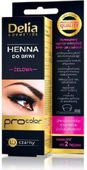 Kulmuvärv Delia Cosmetics Henna 15 ml, 1.0 Black цена и информация | Карандаши, краска для бровей | hansapost.ee