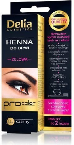 Kulmuvärv Delia Cosmetics Henna 15 ml, 1.0 Black цена и информация | Kulmupliiatsid, -puudrid ja -värvid | hansapost.ee