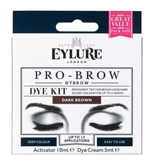 Краска для бровей Eylure Eyl Pro-Brow Dybrow цена и информация | Карандаши, краска для бровей | hansapost.ee