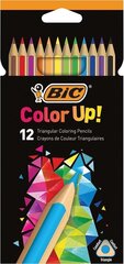 Цветные карандаши Color Up, набор из 12 шт. разного цвета, 950527 цена и информация | Bic Товары для детей и младенцев | hansapost.ee