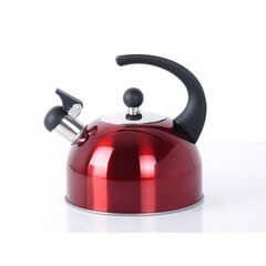DOMOTTI чайник Metalic Red, 2,5 л цена и информация | Чайники, кофейники | hansapost.ee