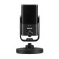 Rode mikrofon NT-USB Mini цена и информация | Mikrofonid | hansapost.ee