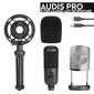 Speedlink mikrofon Audis Pro (SL-800013-BK) цена и информация | Mikrofonid | hansapost.ee