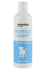 Нежный шампунь для щенков Animology Essentials Perfect Puppy, 250 мл цена и информация | Косметические средства для животных | hansapost.ee