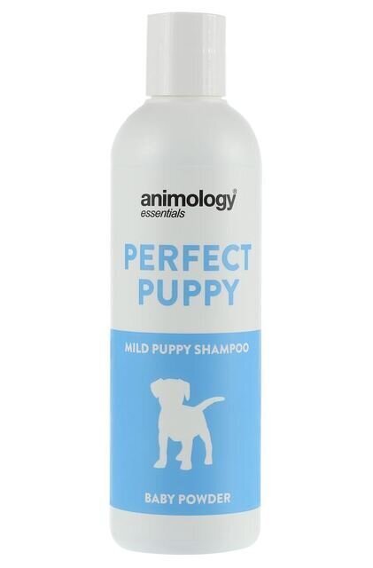 ANIMOLOGY KUTSIKA SHAMPOON PERFECT PUPPY 250ML цена и информация | Karvahoolduseks | hansapost.ee