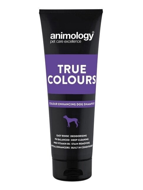 ANIMOLOGY KOERA SHAMPOON TRUE COLOURS 250ML цена и информация | Karvahoolduseks | hansapost.ee