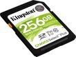 Mälupulk KINGSTON 256GB SDXC Canvas Select Plus hind ja info | Fotoaparaatide mälukaardid | hansapost.ee
