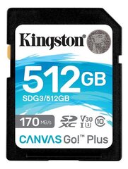 Kingston SDG3/512GB цена и информация | Карты памяти | hansapost.ee