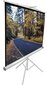 Elite Screens T85NWS1 (152 x 152 cm) цена и информация | Projektori ekraanid | hansapost.ee