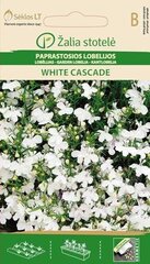 Aedlobeelia White Cascade hind ja info | Lilleseemned | hansapost.ee
