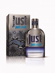 Мужская парфюмерия Just Cavalli Roberto Cavalli EDT: Емкость - 50 ml цена и информация | Мужские духи | hansapost.ee
