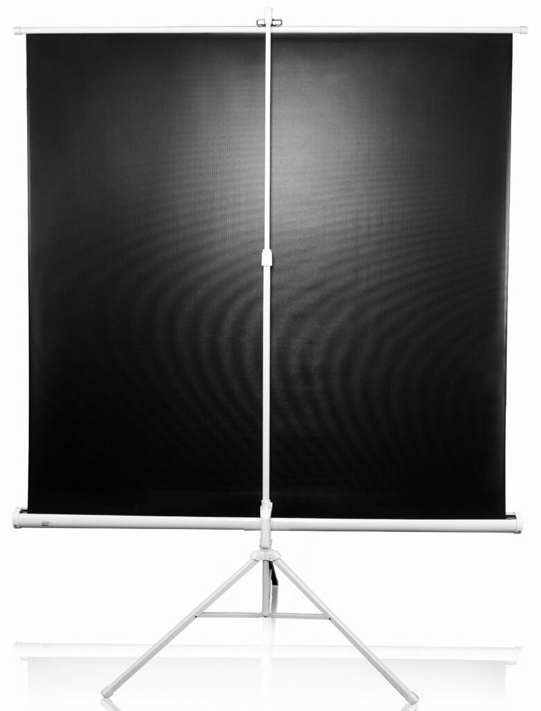 Elite Screens T120NWV1 (243 x 182 cm) цена и информация | Projektori ekraanid | hansapost.ee