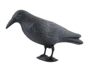 Декоративные Ворона отпугивания птиц цена и информация | Декорации для сада | hansapost.ee