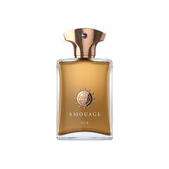 Парфюмированная вода Amouage Dia Pour Homme EDP, 100 мл цена и информация | Мужские духи | hansapost.ee