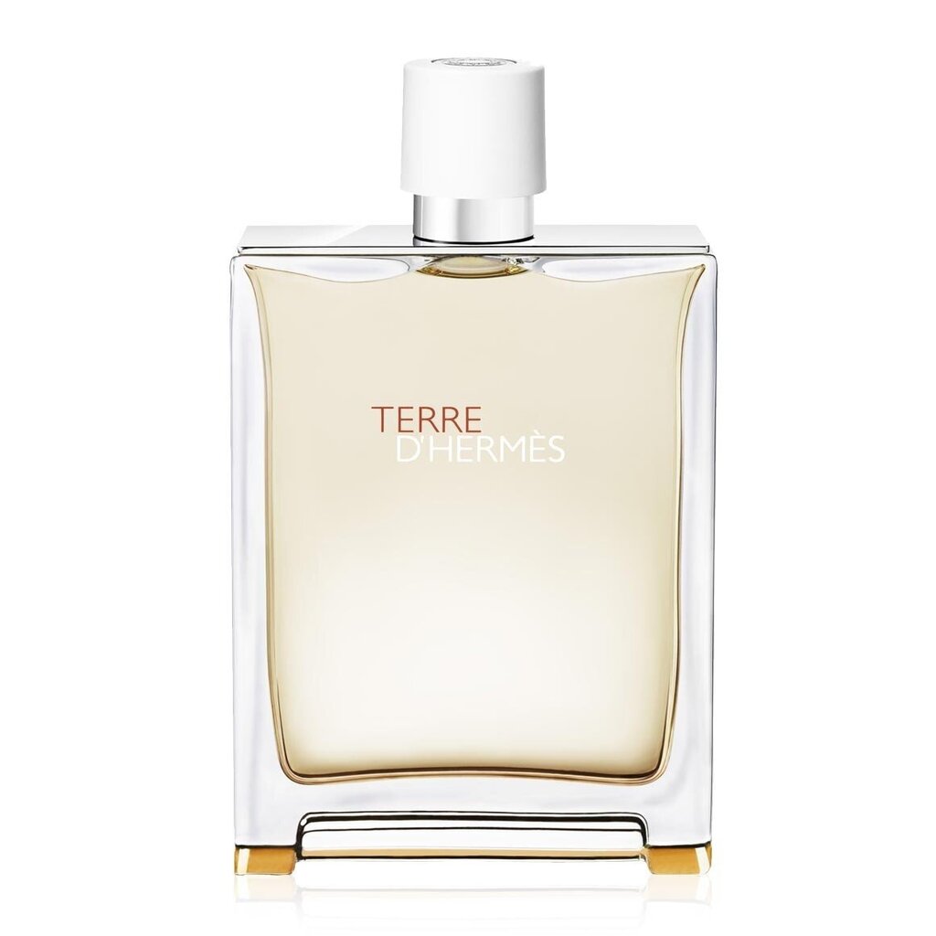 Hermes Terre D'Hermes Eau Tres Fraiche EDT meestele 125 ml цена и информация | Parfüümid meestele | hansapost.ee