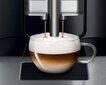 Bosch TIS30129RW hind ja info | Kohvimasinad ja espressomasinad | hansapost.ee