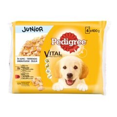 PEDIGREE Junior kuivtoit kana ja kalkuniga kastmega, 4x100g hind ja info | Koerakonservid | hansapost.ee