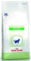 Royal Canin kassipoegade võõrutamiseks Pediatric Weaning, 2 kg hind ja info | Kassi kuivtoit ja kassikrõbinad | hansapost.ee