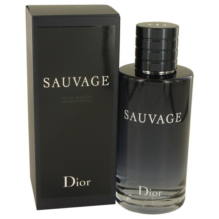 Dior Sauvage - E DT 200 ml hind ja info | Parfüümid meestele | hansapost.ee