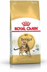 Royal Canin корм для кошек породы Бенгальские Bengal Adult, 0,4 кг цена и информация | Сухой корм для кошек | hansapost.ee