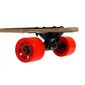 Rula Nils Extreme Longboard Wood Homeland, 104 cm hind ja info | Rulad | hansapost.ee