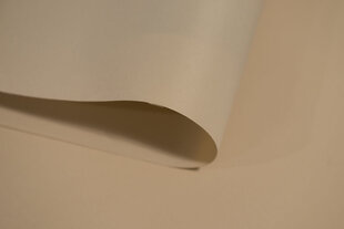 Seinaruloo Decor, 150x170 cm, d-22 hall hind ja info | Rulood | hansapost.ee