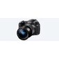 Fotoaparaat Sony Cyber-Shot DSC-RX10 IV hind ja info | Fotoaparaadid | hansapost.ee