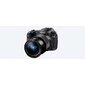 Fotoaparaat Sony Cyber-Shot DSC-RX10 IV цена и информация | Fotoaparaadid | hansapost.ee