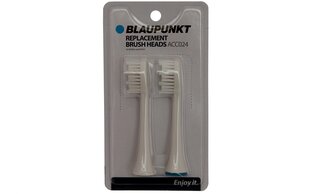 Набор насадок для зубных щеток Blaupunkt ACC024 цена и информация | Насадки для электрических зубных щеток | hansapost.ee