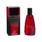 Tualettvesi Real Time Red Canyon EDT meestele 100 ml hind ja info | Parfüümid meestele | hansapost.ee