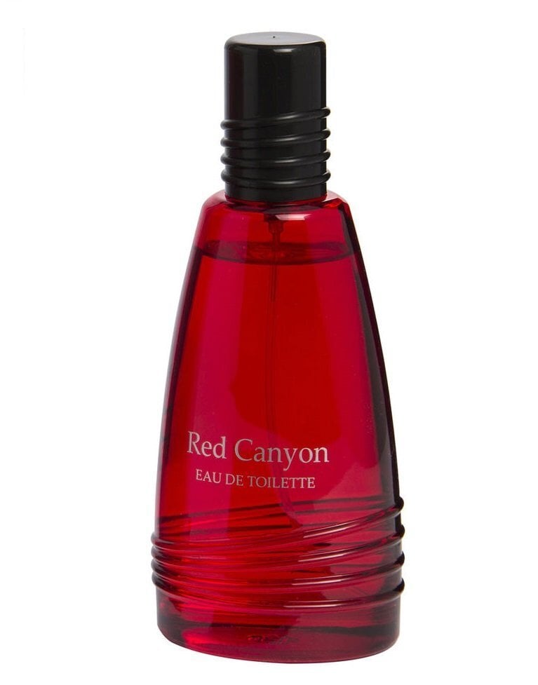 Tualettvesi Real Time Red Canyon EDT meestele 100 ml hind ja info | Parfüümid meestele | hansapost.ee