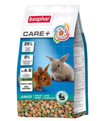 Beaphar Care+ väikestele jänestele Rabbit Junior, 1,5 kg hind ja info | BEAPHAR Lemmikloomatarbed | hansapost.ee