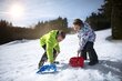 Laste lumelabidas Junior Viking, 87 cm hind ja info | Lumelabidad, lumesahad | hansapost.ee