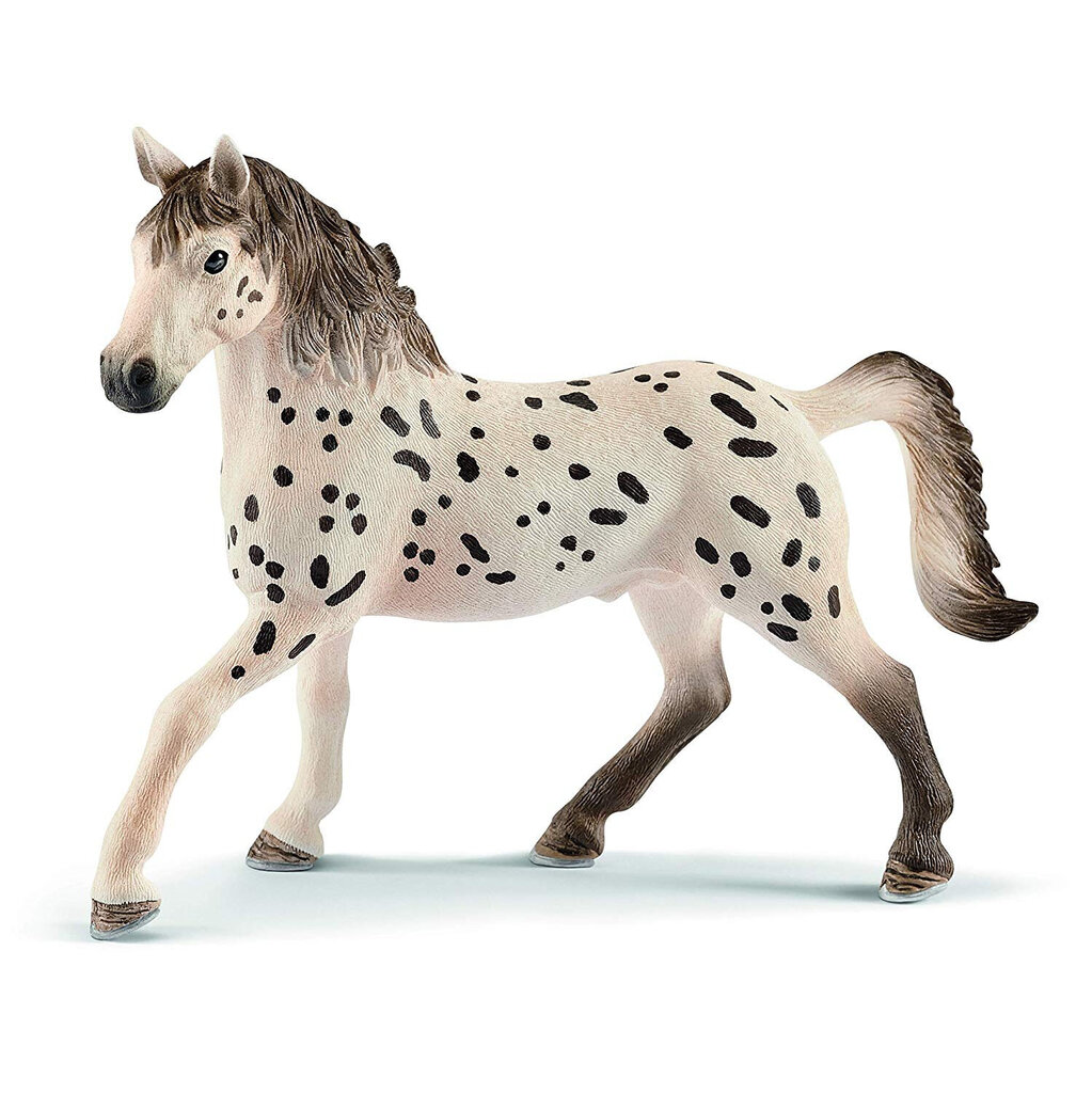 Figuur Knabstrupper tõuhobune Schleich Horse Club цена и информация | Mänguasjad poistele | hansapost.ee