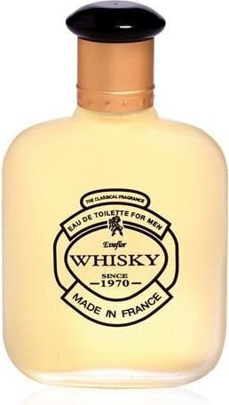Tualettvesi Evaflor Whisky For Men EDT, meestele 100 ml цена и информация | Parfüümid meestele | hansapost.ee