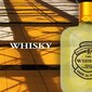 Tualettvesi Evaflor Whisky For Men EDT, meestele 100 ml hind ja info | Parfüümid meestele | hansapost.ee