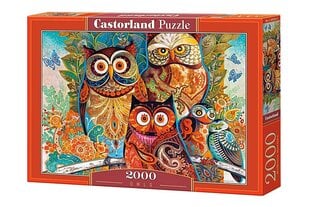 Пазл Castorland Owls, 2000 д. цена и информация | Пазлы | hansapost.ee