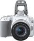 Canon EOS 250D + 18-55mm IS STM Kit, valge hind ja info | Fotoaparaadid | hansapost.ee