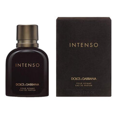 Parfüümvesi Dolce&Gabbana Intenso Pour Homme EDP meestele 40 ml hind ja info | Parfüümid meestele | hansapost.ee