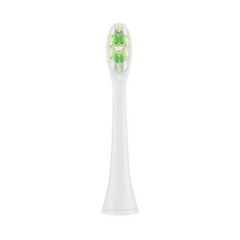 ETA Toothbrush replacement WhiteClean E hind ja info | Hambaharjad, hampapastad ja suuloputusvedelikud | hansapost.ee