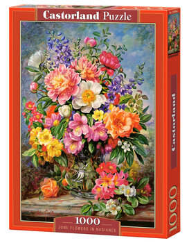 Pusle Puzzle Castorland June Flowers in Radiance, 1000 tk hind ja info | Pusled lastele ja täiskasvanutele | hansapost.ee