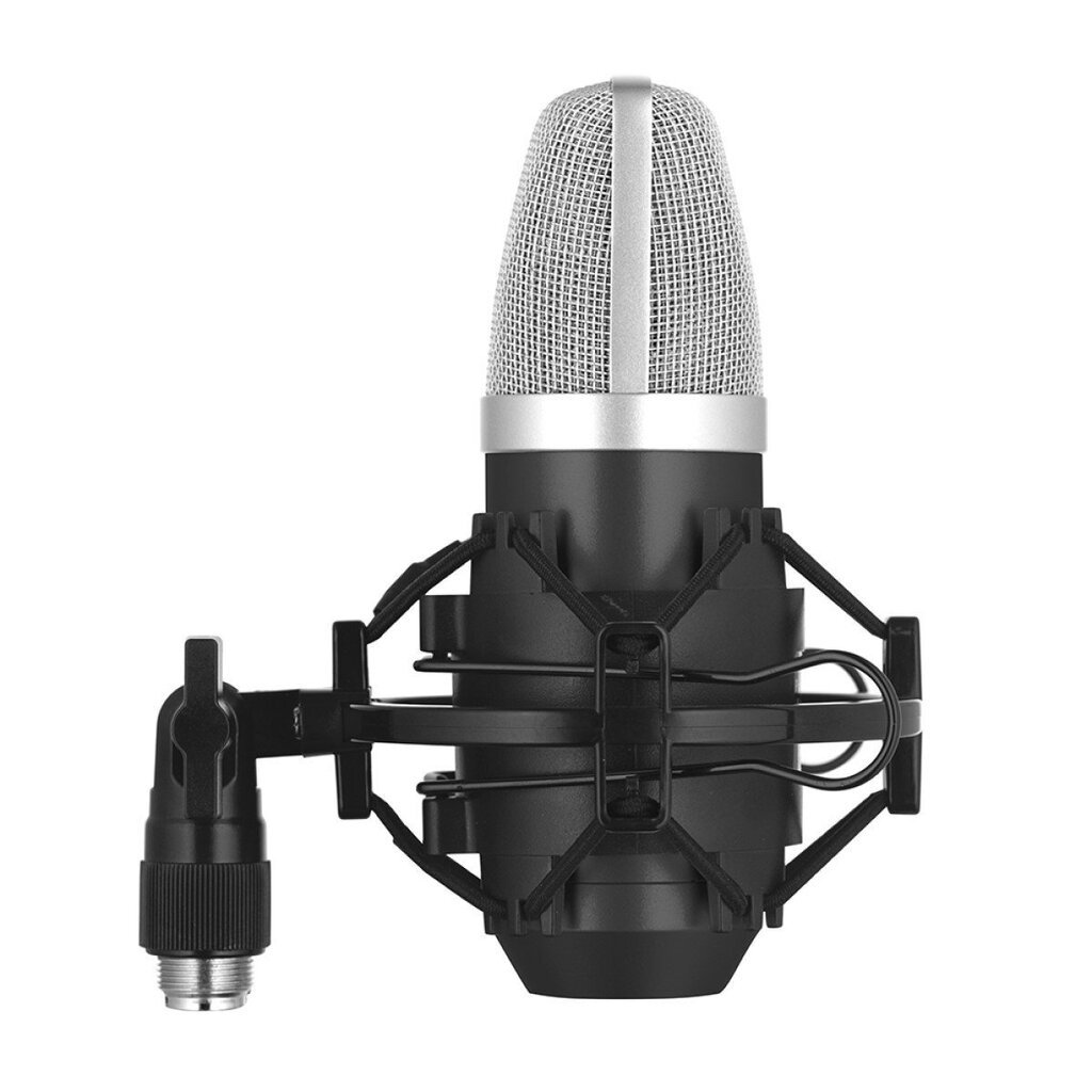 Kondensaator mikrofon Stagg SUM40 цена и информация | Mikrofonid | hansapost.ee