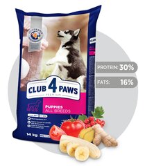 Club 4 Paws Premium kuivtoit kutsikatele - Kõikidele tõugudele цена и информация | Сухой корм для собак | hansapost.ee